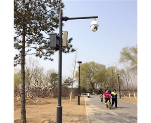 张掖小区监控杆-LB-02